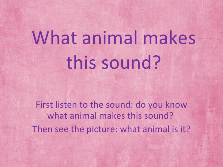 Animals And Sounds Slides Ppt 97 Animals And Sounds Slides Ppt 97