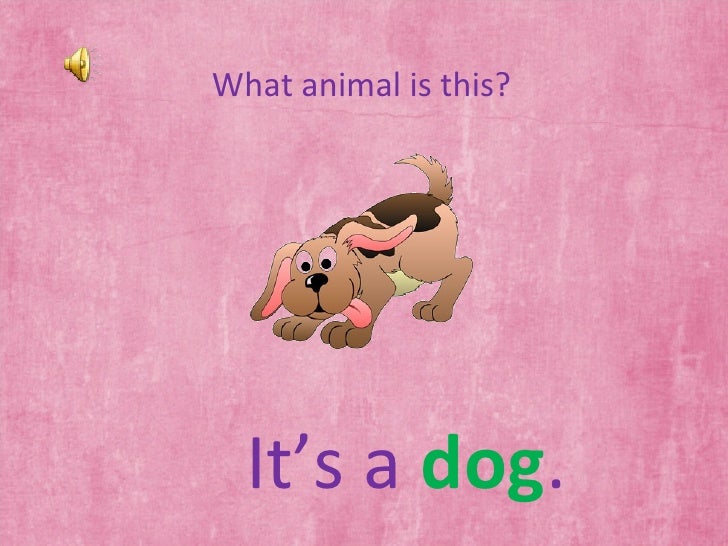 animals and sounds slides ppt 97