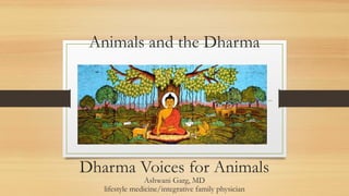 Animals and the Dharma
Dharma Voices for Animals
Ashwani Garg, MD
lifestyle medicine/integrative family physician
 