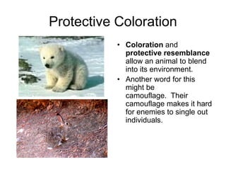 Animals and their Environment.pdf