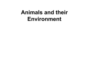 Animals and their
Environment
 