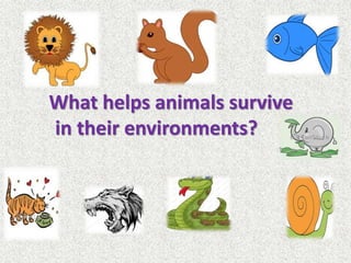 What helps animals survive
in their environments?
 