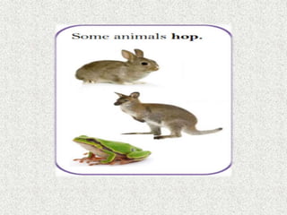 Animals and their parts wiki | PPTX