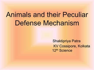 Animals and their Peculiar
Defense Mechanism
Shaktipriya Patra
KV Cossipore, Kolkata
12th Science
 