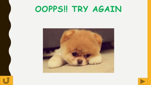 Animals and their young