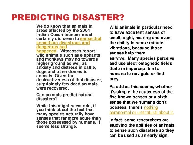 How Do Animals Know When A Natural Disaster Is Coming How Do Animals Know When A Natural Disaster Is Coming