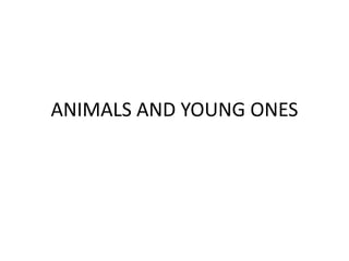 ANIMALS AND YOUNG ONES
 