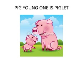 PIG YOUNG ONE IS PIGLET
 