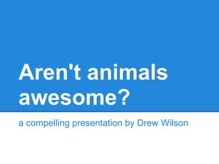 Aren't animals
awesome?
a compelling presentation by Drew Wilson
 