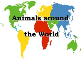 Animals around  the World 