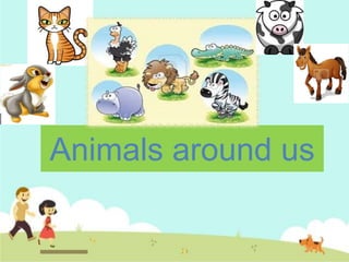 Animals around us