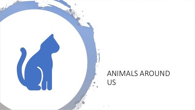 ANIMALS AROUND
US
 