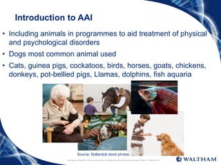 Proprietary information: Not to be reproduced or distributed without the express consent of Mars Inc. ©Mars 2016
Introduction to AAI
• Including animals in programmes to aid treatment of physical
and psychological disorders
• Dogs most common animal used
• Cats, guinea pigs, cockatoos, birds, horses, goats, chickens,
donkeys, pot-bellied pigs, Llamas, dolphins, fish aquaria
Source: Dollarclub stock photos
 