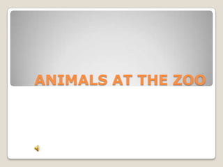 ANIMALS AT THE ZOO
 