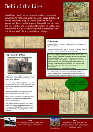 Animals in the Armed Forces | PPT