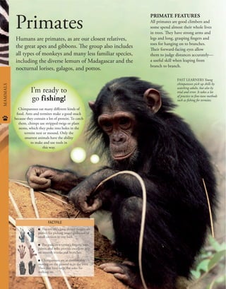 Animals, a visual encyclopedia (2nd Edition).pdf