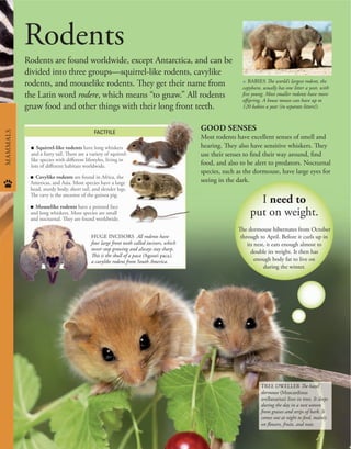 Animals, a visual encyclopedia (2nd Edition).pdf