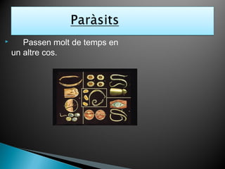  Passen molt de temps en
un altre cos.
 