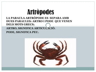 LA PARAULA ARTRÒPODE ES SEPARA AMB
DUES PARAULES: ARTRO I PODE QUE VENEN
DELS MOTS GRECS;
ARTRO, SIGNIFICA ARTICULACIÓ.
PODE, SIGNIFICA PEU.
Artròpodes
 