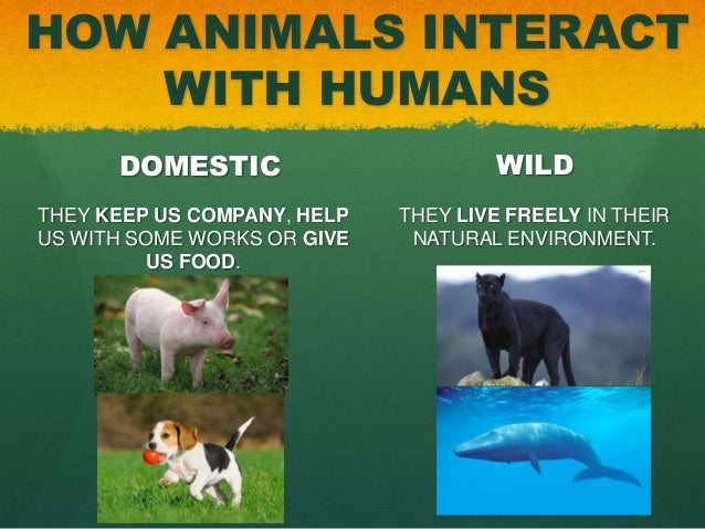 Are Humans Natural Born Carnivores Are Humans Natural Born Carnivores