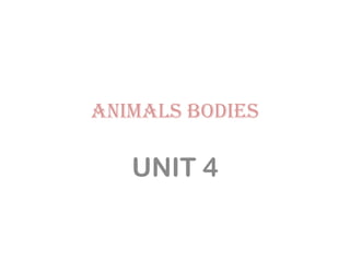 ANIMALS BODIES
UNIT 4
 