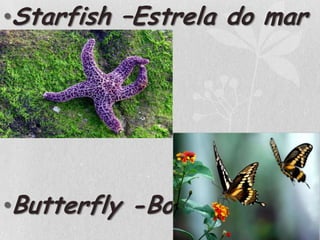 Starfish –Estrela do marButterfly -Borboleta