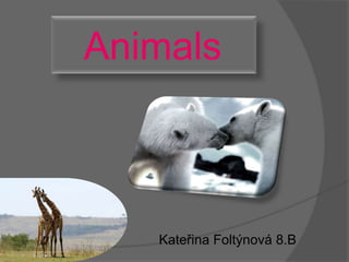    Animals Kateřina Foltýnová 8.B 