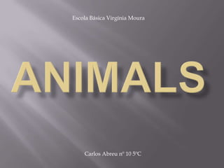 Escola Básica Virgínia Moura Animals Carlos Abreu nº 10 5ºC 