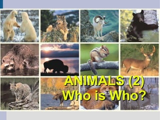 ANIMALS (2) Who is Who? 