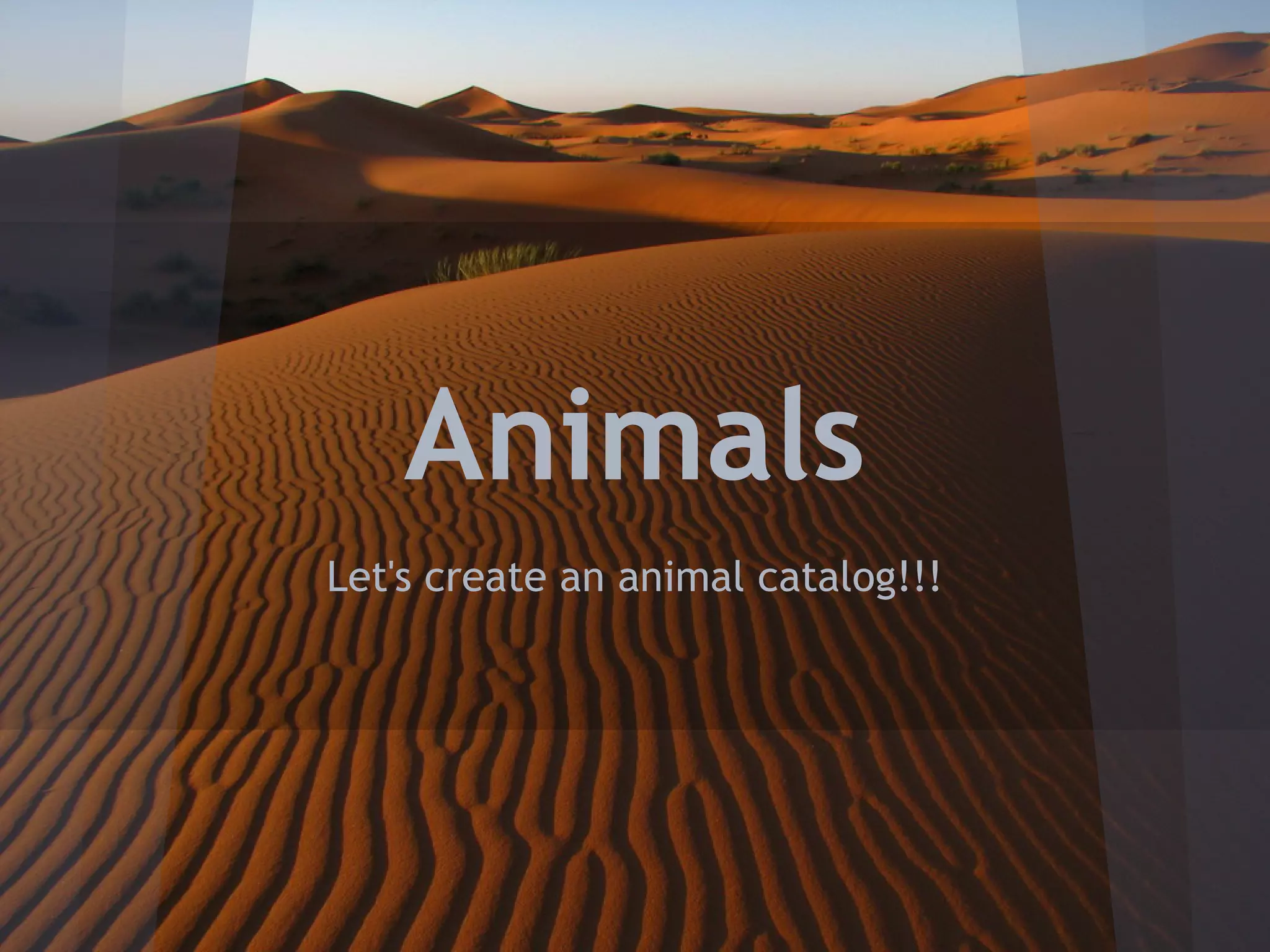 Animals catalog (5th primary) PDF