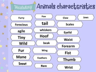 Furry
Ferocious
agile
Tiny
Wild
Snout
Fur
tail
beak
Wing
Scales
Feathers
Claw
whiskers
Paw
Mane
Hoof
Horn
Jaws
Eyelid
Forearm
Waist
Fist
Thumb
Wrist
 