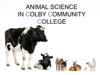 ANIMAL SCIENCE
IN COLBY COMMUNITY
COLLEGE
 