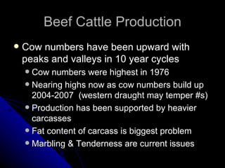 Beef Cattle Production Cow numbers have been upward with peaks and valleys in 10 year cycles Cow numbers were highest in 1976  Nearing highs now as cow numbers build up 2004-2007  (western draught may temper #s) Production has been supported by heavier carcasses Fat content of carcass is biggest problem Marbling & Tenderness are current issues 
