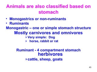 Animal science | PPT
