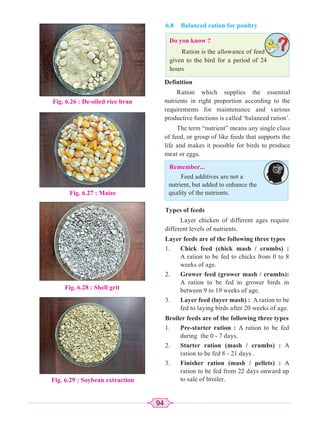 94
6.8 Balanced ration for poultry
Fig. 6.26 : De-oiled rice bran
Fig. 6.27 : Maize
Fig. 6.28 : Shell grit
Fig. 6.29 : Soybean extraction
Do you know ?
Ration is the allowance of feed
given to the bird for a period of 24
hours
Definition
Ration which supplies the essential
nutrients in right proportion according to the
requirements for maintenance and various
productive functions is called ‘balanced ration’.
The term “nutrient” means any single class
of feed, or group of like feeds that supports the
life and makes it possible for birds to produce
meat or eggs.
Remember...
Feed additives are not a
nutrient, but added to enhance the
quality of the nutrients.
Types of feeds
Layer chicken of different ages require
different levels of nutrients.
Layer feeds are of the following three types
1. Chick feed (chick mash / crumbs) :
A ration to be fed to chicks from 0 to 8
weeks of age.
2. Grower feed (grower mash / crumbs):
A ration to be fed to grower birds in
between 9 to 19 weeks of age.
3. Layer feed (layer mash) : A ration to be
fed to laying birds after 20 weeks of age.
Broiler feeds are of the following three types
1. Pre-starter ration : A ration to be fed
during the 0 - 7 days.
2. Starter ration (mash / crumbs) : A
ration to be fed 8 - 21 days .
3. Finisher ration (mash / pellets) : A
ration to be fed from 22 days onward up
to sale of broiler.
 
