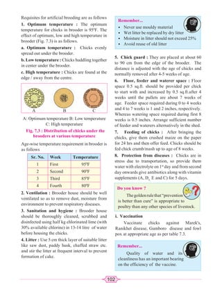 102
Remember...
• Never use mouldy material
• Wet litter be replaced by dry litter
• Moisture in litter should not exceed 25%
• Avoid reuse of old litter
Do you know ?
Thegoldenrulethat“prevention
is better than cure” is appropriate to
poultry than any other species of livestock.
Remember...
Quality of water and its
cleanliness has an important bearing
on the efficiency of the vaccine.
Requisites for artificial brooding are as follows
1. Optimum temperature : The optimum
temperature for chicks in brooder is 950
F. The
effect of optimum, low and high temperature in
brooder (Fig. 7.3) is as follows.
a. Optimum temperature : Chicks evenly
spread out under the brooder.
b. Low temperature : Chicks huddling together
in center under the brooder.
c. High temperature : Chicks are found at the
edge / away from the centre.
A: Optimum temperature B: Low temperature
C: High temperature
Fig. 7.3 : Distribution of chicks under the
brooders at various temperature
A B C
Age-wise temperature requirement in brooder is
as follows
Sr. No. Week Temperature
1 First 950
F
2 Second 900
F
3 Third 850
F
4 Fourth 800
F
2. Ventilation : Brooder house should be well
ventilated so as to remove dust, moisture from
environment to prevent respiratory diseases.
3. Sanitation and hygiene : Brooder house
should be thoroughly cleaned, scrubbed and
disinfected using half kg chlorinated lime (with
30% available chlorine) in 13-14 litre of water
before housing the chicks.
4. Litter : Use 5 cm thick layer of suitable litter
like saw dust, paddy husk, chaffed straw etc.
and stir the litter at frequent interval to prevent
formation of cake.
5. Chick guard : They are placed at about 60
to 90 cm from the edge of the brooder. The
distance is adjusted with the age of chicks and
normally removed after 4-5 weeks of age.
6. Floor, feeder and waterer space : Floor
space 0.5 sq.ft. should be provided per chick
to start with and increased by 0.5 sq.ft.after 4
weeks until the pullets are about 7 weeks of
age. Feeder space required during 0 to 4 weeks
and 4 to 7 weeks is 1 and 2 inches, respectively.
Whereas watering space required during first 8
weeks is 0.5 inches. Arrange sufficient number
of feeder and waterers alternatively in the shed.
7. Feeding of chicks : After bringing the
chicks, give them crushed maize on the paper
for 24 hrs and then offer feed. Chicks should be
fed chick crumb/mash up to age of 8 weeks.
8. Protection from diseases : Chicks are in
stress due to transportation, so provide them
water with electrolyte on 1st
day and from second
day onwards give antibiotics along with vitamin
supplements (A, D3,
E and C) for 5 days.
i. Vaccination
Vaccinate chicks against Marek's,
Ranikhet disease, Gumboro disease and fowl
pox at appropriate age as per table 7.3.
 