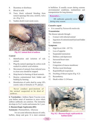 114
8. Dysentery or diarrhoea
9. Blood in milk
10. Tarry black coloured bleeding from
natural openings like anus, nostrils, vulva
etc. (Fig: 8.1)
11. Sudden death in per-acute cases.
Fig: 8.1 Animal died of anthrax
Control
1. Identification and isolation of sick
animal.
2. Plug the natural openings by cotton swab
soaked in carbolic acid solution.
3. Movement of animals from infected area
to clean area should be stopped.
4. Deep burial or burning of dead animals.
5. Destroy contaminated feed, fodder and
bedding by burning.
6. Disinfection of cattle shed by using 10%
caustic soda or formalin or 5% phenyl.
Never conduct post-mortem of
the animal suspected to be died of
anthrax.
6. Vaccination : Anthrax Spore Vaccine every
year before onset of monsoon in areas where
anthrax outbreaks are common. The immunity
develops in 2 to 3 weeks and remains for 1 year.
2. Haemorrhagic Septicemia (HS)
Synonyms : Pasteurellosis, Ghatsurp
It is an acute infectious disease of cattle,
buffalo, sheep and goat. It is most common
in buffaloes. It usually occurs during extreme
environmental conditions, malnutrition and
transportation for long distance.
Remember...
HS outbreaks generally occur
during rainy season.
Causative agent
• It is caused by Pasteurella multocida
Transmission
The disease spreads through –
1. Contact with infected animal
2. Ingestion of contaminated feed and fodder
3. Inhalation
Symptoms
1. High fever (104 - 107 0
F)
2. Loss of appetite
3. Suspended rumination
4. Dullness and depression
5. Increased heart rates
6. Salivation
7. Congestion of mucus membrane
8. Profuse nasal discharge
9. Rapid/difficult respiration
10. Swelling of throat region (Fig: 8.2)
11. Recumbency
12. Death within 12-24 hours
Fig: 8.2 : Haemorrhagic septicaemia in
buffalo heifer
 