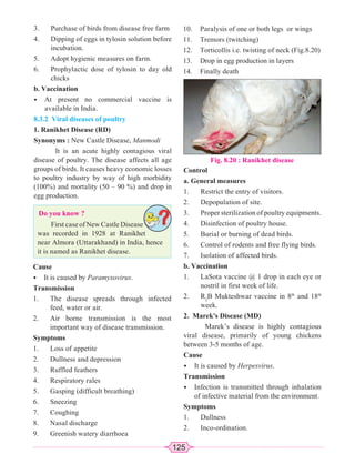 125
3. Purchase of birds from disease free farm
4. Dipping of eggs in tylosin solution before
incubation.
5. Adopt hygienic measures on farm.
6. Prophylactic dose of tylosin to day old
chicks
b. Vaccination
• At present no commercial vaccine is
available in India.
8.3.2 Viral diseases of poultry
1. Ranikhet Disease (RD)
Synonyms : New Castle Disease, Manmodi
It is an acute highly contagious viral
disease of poultry. The disease affects all age
groups of birds. It causes heavy economic losses
to poultry industry by way of high morbidity
(100%) and mortality (50 – 90 %) and drop in
egg production.
Do you know ?
First case of New Castle Disease
was recorded in 1928 at Ranikhet
near Almora (Uttarakhand) in India, hence
it is named as Ranikhet disease.
Cause
• It is caused by Paramyxovirus.
Transmission
1. The disease spreads through infected
feed, water or air.
2. Air borne transmission is the most
important way of disease transmission.
Symptoms
1. Loss of appetite
2. Dullness and depression
3. Ruffled feathers
4. Respiratory rales
5. Gasping (difficult breathing)
6. Sneezing
7. Coughing
8. Nasal discharge
9. Greenish watery diarrhoea
10. Paralysis of one or both legs or wings
11. Tremors (twitching)
12. Torticollis i.e. twisting of neck (Fig.8.20)
13. Drop in egg production in layers
14. Finally death
Fig. 8.20 : Ranikhet disease
Control
a. General measures
1. Restrict the entry of visitors.
2. Depopulation of site.
3. Proper sterilization of poultry equipments.
4. Disinfection of poultry house.
5. Burial or burning of dead birds.
6. Control of rodents and free flying birds.
7. Isolation of affected birds.
b. Vaccination
1. LaSota vaccine @ 1 drop in each eye or
nostril in first week of life.
2. R2
B Mukteshwar vaccine in 8th
and 18th
week.
2. Marek's Disease (MD)
Marek’s disease is highly contagious
viral disease, primarily of young chickens
between 3-5 months of age.
Cause
• It is caused by Herpesvirus.
Transmission
• Infection is transmitted through inhalation
of infective material from the environment.
Symptoms
1. Dullness
2. Inco-ordination.
 