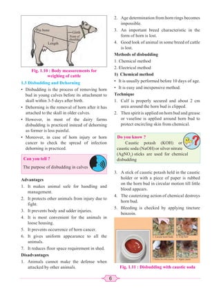 Animal science & technology | PDF