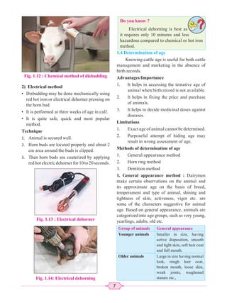 7
2) Electrical method
• Disbudding may be done mechanically using
red hot iron or electrical dehorner pressing on
the horn bud.
• It is performed at three weeks of age in calf.
• It is quite safe, quick and most popular
method.
Technique
1. Animal is secured well.
2. Horn buds are located properly and about 2
cm area around the buds is clipped.
3. Then horn buds are cauterized by applying
red hot electric dehorner for 10 to 20 seconds.
1.4 Determination of age
Knowing cattle age is useful for both cattle
management and marketing in the absence of
birth records.
Advantages/Importance
1. It helps in accessing the tentative age of
animal when birth record is not available.
2. It helps in fixing the price and purchase
of animals.
3. It helps to decide medicinal doses against
diseases.
Limitations
1. Exact age of animal cannot be determined.
2. Purposeful attempt of hiding age may
result in wrong assessment of age.
Methods of determination of age
1. General appearance method
2. Horn ring method
3. Dentition method
1. General appearance method : Dairymen
make certain observations on the animal and
its approximate age on the basis of breed,
temperament and type of animal, shining and
tightness of skin, activeness, vigor etc. are
some of the characters suggestive for animal
age. Based on general appearance, animals are
categorized into age groups, such as very young,
yearlings, adults, old etc.
Group of animals General appearance
Younger animals Smaller in size, having
active disposition, smooth
and tight skin, soft hair coat
and full mouth.
Older animals Large in size having normal
look, rough hair coat,
broken mouth, loose skin,
weak joints, roughened
stature etc.,
Do you know ?
Electrical dehorning is best as
it requires only 10 minutes and less
hazardous compared to chemical or hot iron
method.
Fig. 1.12 : Chemical method of disbudding
Fig. 1.13 : Electrical dehorner
Fig. 1.14: Electrical dehorning
 