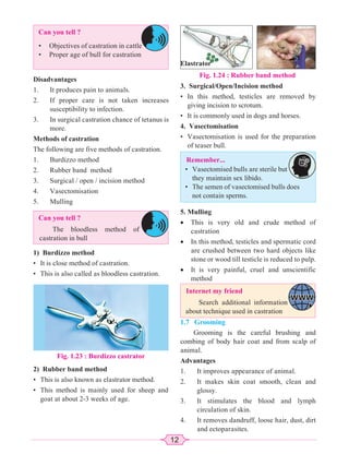 12
Disadvantages
1. It produces pain to animals.
2. If proper care is not taken increases
susceptibility to infection.
3. In surgical castration chance of tetanus is
more.
Methods of castration
The following are five methods of castration.
1. Burdizzo method
2. Rubber band method
3. Surgical / open / incision method
4. Vasectomisation
5. Mulling
3. Surgical/Open/Incision method
• In this method, testicles are removed by
giving incision to scrotum.
• It is commonly used in dogs and horses.
4. Vasectomisation
• Vasectomisation is used for the preparation
of teaser bull.
Can you tell ?
• Objectives of castration in cattle
• Proper age of bull for castration
Can you tell ?
The bloodless method of
castration in bull
Remember...
• Vasectomised bulls are sterile but
they maintain sex libido.
• The semen of vasectomised bulls does
not contain sperms.
Internet my friend
Search additional information
about technique used in castration
1) Burdizzo method
• It is close method of castration.
• This is also called as bloodless castration.
Fig. 1.23 : Burdizzo castrator
2) Rubber band method
• This is also known as elastrator method.
• This method is mainly used for sheep and
goat at about 2-3 weeks of age.
Elastrator
Fig. 1.24 : Rubber band method
5. Mulling
x This is very old and crude method of
castration
x In this method, testicles and spermatic cord
are crushed between two hard objects like
stone or wood till testicle is reduced to pulp.
x It is very painful, cruel and unscientific
method
1.7 Grooming
Grooming is the careful brushing and
combing of body hair coat and from scalp of
animal.
Advantages
1. It improves appearance of animal.
2. It makes skin coat smooth, clean and
glossy.
3. It stimulates the blood and lymph
circulation of skin.
4. It removes dandruff, loose hair, dust, dirt
and ectoparasites.
 