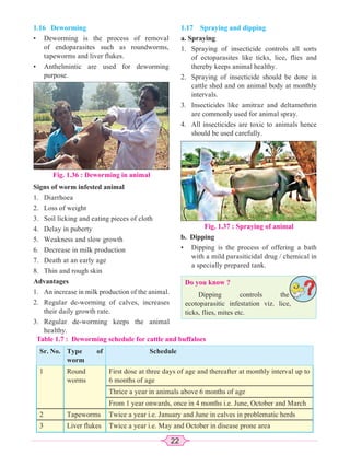 22
Fig. 1.36 : Deworming in animal
1.16 Deworming
• Deworming is the process of removal
of endoparasites such as roundworms,
tapeworms and liver flukes.
• Anthelmintic are used for deworming
purpose.
Signs of worm infested animal
1. Diarrhoea
2. Loss of weight
3. Soil licking and eating pieces of cloth
4. Delay in puberty
5. Weakness and slow growth
6. Decrease in milk production
7. Death at an early age
8. Thin and rough skin
Advantages
1. An increase in milk production of the animal.
2. Regular de-worming of calves, increases
their daily growth rate.
3. Regular de-worming keeps the animal
healthy.
Table 1.7 : Deworming schedule for cattle and buffaloes
Sr. No. Type of
worm
Schedule
1 Round
worms
First dose at three days of age and thereafter at monthly interval up to
6 months of age
Thrice a year in animals above 6 months of age
From 1 year onwards, once in 4 months i.e. June, October and March
2 Tapeworms Twice a year i.e. January and June in calves in problematic herds
3 Liver flukes Twice a year i.e. May and October in disease prone area
1.17 Spraying and dipping
a. Spraying
1. Spraying of insecticide controls all sorts
of ectoparasites like ticks, lice, flies and
thereby keeps animal healthy.
2. Spraying of insecticide should be done in
cattle shed and on animal body at monthly
intervals.
3. Insecticides like amitraz and deltamethrin
are commonly used for animal spray.
4. All insecticides are toxic to animals hence
should be used carefully.
Fig. 1.37 : Spraying of animal
b. Dipping
• Dipping is the process of offering a bath
with a mild parasiticidal drug / chemical in
a specially prepared tank.
Do you know ?
Dipping controls the
ecotoparasitic infestation viz. lice,
ticks, flies, mites etc.
 