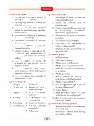 28
Q.1 Fill in the blanks
1. Ear notching is permanent method of
marking in ………..species.
2. The temporary method of marking the
animals is ……………
3. ……………. is the most advanced
method for identification and record the
data of animals.
4. The mechanical dehorning is performed
at…………..years of age.
5. The old and crude method of castration
is ……………..
6. ………………chemical is used for
chemical dehorning.
7. Milking machine is operated at 10-
15 vaccum with pulsation rate of
…………….per minute for successful
milking.
8. …………….method of drying off
is suitable for high yielding cow in
pregnant condition.
9. …………….stimulates the blood,
lymph circulation of skin and improves
appearance of animal.
10. …………….reduces the possibility of
lameness and foot rot.
Q.2 Make the pairs
Group A Group B
1. Ear notching a. Puncturing desire
letter or number
2. Tagging b. U or V shape cut/
notches
3. Branding c. Self-piercing and
non-piercing
4. Disbudding d Removing horn bud
5. Ear tattooing e. Hot Iron, Chemical
or coolant
f. Dehorning
Q.3 State true or false
1. Dehorning is the removal of horn after
it has attached to skull
2. Incisors are commonly used for
estimation age
3. Casting of an animal means removing
or dysfunctioning of essential
reproductive organs in males.
4. Burdizzo castrator is used for bloodless
castration.
5. Vasectomized bulls are fertile.
6. Knuckling is the best method of
milking in dairy animals.
7. Ringing is the process of putting nose
ring to the bull.
Q.4 Answer in brief
1. Define tattooing.
2. State types of tagging.
3. What is mean by disbudding?
4. What is mean by vasectomization?
5. Name the close and bloodless method
of castration.
6. What is grooming?
7. Which method of milking is
modification of full hand milking?
8. What is ringing of bulls?
9. Give the appropriate age of calf for
first dose of dewormer?
10. Define dipping.
11. What precautions should be taken
while dipping the small animals?
12. Hoof trimming increases productive
life of cow, Justify?
Q.5 Answer the following questions
1. Write the importance of record keeping
in livestock farm.
2. Differentiate between hand milking
and machine milking.
Exercises
 