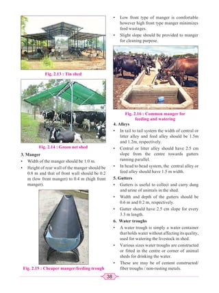 38
3. Manger
• Width of the manger should be 1.0 m.
• Height of rear wall of the manger should be
0.8 m and that of front wall should be 0.2
m (low front manger) to 0.4 m (high front
manger).
• Low front type of manger is comfortable
however high front type manger minimizes
feed wastages.
• Slight slope should be provided to manger
for cleaning purpose.
Fig. 2.13 : Tin shed
Fig. 2.14 : Green net shed
Fig. 2.15 : Cheaper manger/feeding trough
Fig. 2.16 : Common manger for
feeding and watering
4. Alleys
• In tail to tail system the width of central or
litter alley and feed alley should be 1.5m
and 1.2m, respectively.
• Central or litter alley should have 2.5 cm
slope from the centre towards gutters
running parallel.
• In head to head system, the central alley or
feed alley should have 1.5 m width.
5. Gutters
• Gutters is useful to collect and carry dung
and urine of animals in the shed.
• Width and depth of the gutters should be
0.6 m and 0.2 m, respectively.
• Gutter should have 2.5 cm slope for every
3.3 m length.
6. Water troughs
• A water trough is simply a water container
that holds water without affecting its quality,
used for watering the livestock in shed.
• Various sizes water troughs are constructed
or fitted in the centre or corner of animal
sheds for drinking the water.
• These are may be of cement constructed/
fiber troughs / non-rusting metals.
 