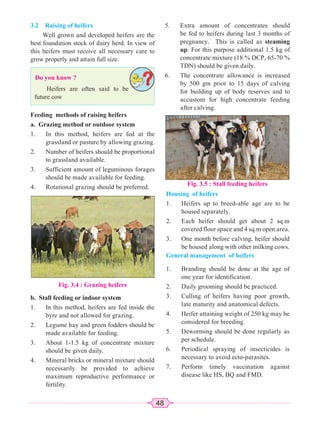 48
3.2 Raising of heifers
Well grown and developed heifers are the
best foundation stock of dairy herd. In view of
this heifers must receive all necessary care to
grow properly and attain full size.
Do you know ?
Heifers are often said to be
future cow
Feeding methods of raising heifers
a. Grazing method or outdoor system
1. In this method, heifers are fed at the
grassland or pasture by allowing grazing.
2. Number of heifers should be proportional
to grassland available.
3. Sufficient amount of leguminous forages
should be made available for feeding.
4. Rotational grazing should be preferred.
5. Extra amount of concentrates should
be fed to heifers during last 3 months of
pregnancy. This is called as steaming
up. For this purpose additional 1.5 kg of
concentrate mixture (18 % DCP, 65-70 %
TDN) should be given daily.
6. The concentrate allowance is increased
by 500 gm prior to 15 days of calving
for building up of body reserves and to
accustom for high concentrate feeding
after calving.
Fig. 3.4 : Grazing heifers
b. Stall feeding or indoor system
1. In this method, heifers are fed inside the
byre and not allowed for grazing.
2. Legume hay and green fodders should be
made available for feeding.
3. About 1-1.5 kg of concentrate mixture
should be given daily.
4. Mineral bricks or mineral mixture should
necessarily be provided to achieve
maximum reproductive performance or
fertility.
Fig. 3.5 : Stall feeding heifers
Housing of heifers
1. Heifers up to breed-able age are to be
housed separately.
2. Each heifer should get about 2 sq.m
covered floor space and 4 sq.m open area.
3. One month before calving, heifer should
be housed along with other milking cows.
General management of heifers
1. Branding should be done at the age of
one year for identification.
2. Daily grooming should be practiced.
3. Culling of heifers having poor growth,
late maturity and anatomical defects.
4. Heifer attaining weight of 250 kg may be
considered for breeding.
5. Deworming should be done regularly as
per schedule.
6. Periodical spraying of insecticides is
necessary to avoid ecto-parasites.
7. Perform timely vaccination against
disease like HS, BQ and FMD.
 