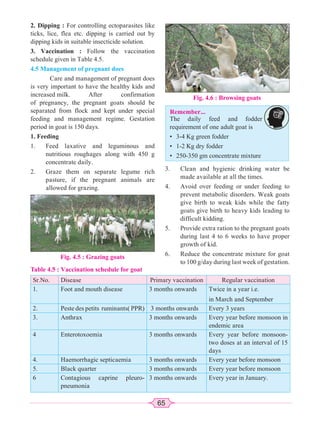 65
Table 4.5 : Vaccination schedule for goat
Sr.No. Disease Primary vaccination Regular vaccination
1. Foot and mouth disease 3 months onwards Twice in a year i.e.
in March and September
2. Peste des petits ruminants( PPR) 3 months onwards Every 3 years
3. Anthrax 3 months onwards Every year before monsoon in
endemic area
4 Enterotoxoemia 3 months onwards Every year before monsoon-
two doses at an interval of 15
days
4. Haemorrhagic septicaemia 3 months onwards Every year before monsoon
5. Black quarter 3 months onwards Every year before monsoon
6 Contagious caprine pleuro-
pneumonia
3 months onwards Every year in January.
Fig. 4.5 : Grazing goats
Fig. 4.6 : Browsing goats
Remember...
The daily feed and fodder
requirement of one adult goat is
• 3-4 Kg green fodder
• 1-2 Kg dry fodder
• 250-350 gm concentrate mixture
2. Dipping : For controlling ectoparasites like
ticks, lice, flea etc. dipping is carried out by
dipping kids in suitable insecticide solution.
3. Vaccination : Follow the vaccination
schedule given in Table 4.5.
4.5 Management of pregnant does
Care and management of pregnant does
is very important to have the healthy kids and
increased milk. After confirmation
of pregnancy, the pregnant goats should be
separated from flock and kept under special
feeding and management regime. Gestation
period in goat is 150 days.
1. Feeding
1. Feed laxative and leguminous and
nutritious roughages along with 450 g
concentrate daily.
2. Graze them on separate legume rich
pasture, if the pregnant animals are
allowed for grazing.
3. Clean and hygienic drinking water be
made available at all the times.
4. Avoid over feeding or under feeding to
prevent metabolic disorders. Weak goats
give birth to weak kids while the fatty
goats give birth to heavy kids leading to
difficult kidding.
5. Provide extra ration to the pregnant goats
during last 4 to 6 weeks to have proper
growth of kid.
6. Reduce the concentrate mixture for goat
to 100 g/day during last week of gestation.
 