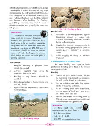76
in the total concentrates provided to the livestock
2 weeks prior to mating. Flushing not only helps
in maintaining the body condition of the animal
after conception but also enhance the conception
rate. Further, it has been seen that the ovulation
rate increases after flushing. For flushing,
give 100 grams concentrate over the normal
concentrate ration and gradually increase it to
250 grams.
Remember...
Inadequate and poor nutrition
may result in pregnancy toxemia,
abortion and premature births of weak
lamb hence in the last month of pregnancy,
the growth of foetus is very fast. Therefore,
additional provision of 250-300 gm of
concentrate should be made to increase
number of viable lambs, growth rate and
birth weight of lambs and milk yield in
coming lactation.
Management
1. Frequent handling of pregnant ewes
should be avoided.
2. Advance pregnant ewes should be
separated from main flock.
3. Grazing at long distance should be
avoided.
4. Protect pregnant ewes from extreme cold
and hot climate.
5. Keep houses of pregnant ewes clean and
well ventilated.
Health Care
1. For control of internal parasites, regular
deworming should be carried out.
However deworming should be avoided
during early pregnancy
2. Vaccination against enterotoxemia is
advocated during pregnancy in order to
transfer passive immunity to newborn
lambs
3. Avoid dipping of sheep in advance
pregnancy
5.5 Management of lactating ewes
To have healthy and vigorous lamb
production, lactating ewes have to be looked
after very carefully.
Feeding
1. Grazing on good pasture usually fulfills
the nutritional requirement and increases
the milk production of lactating ewes.
2. Provide sufficient hay preferably legume
hay to ewes during lactation.
3. As the lactating ewes drink more water,
provide plenty of fresh and clean water
for 4 to 5 times in a day.
4. Provide concentrate to lactating ewes @
200-300 gm to meet additional nutritional
requirement for milk production.
Fig. 5.5 : Grazing sheep
Fig. 5.6 : Feeding at farm
Remember...
The daily feed and fodder
requirement of one adult sheep is
• 2-3 Kg green fodder
• 1-1.5 Kg dry fodder
• 250-350 gm concentrate mixture
 
