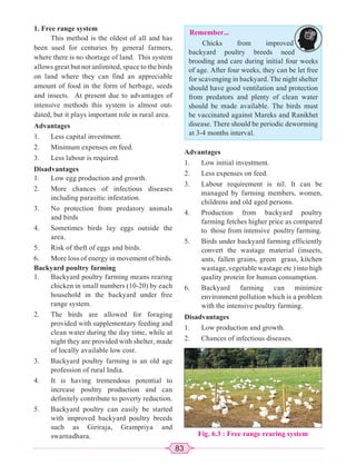 83
1. Free range system
This method is the oldest of all and has
been used for centuries by general farmers,
where there is no shortage of land. This system
allows great but not unlimited, space to the birds
on land where they can find an appreciable
amount of food in the form of herbage, seeds
and insects. At present due to advantages of
intensive methods this system is almost out-
dated, but it plays important role in rural area.
Advantages
1. Less capital investment.
2. Minimum expenses on feed.
3. Less labour is required.
Disadvantages
1. Low egg production and growth.
2. More chances of infectious diseases
including parasitic infestation.
3. No protection from predatory animals
and birds
4. Sometimes birds lay eggs outside the
area.
5. Risk of theft of eggs and birds.
6. More loss of energy in movement of birds.
Backyard poultry farming
1. Backyard poultry farming means rearing
chicken in small numbers (10-20) by each
household in the backyard under free
range system.
2. The birds are allowed for foraging
provided with supplementary feeding and
clean water during the day time, while at
night they are provided with shelter, made
of locally available low cost.
3. Backyard poultry farming is an old age
profession of rural India.
4. It is having tremendous potential to
increase poultry production and can
definitely contribute to poverty reduction.
5. Backyard poultry can easily be started
with improved backyard poultry breeds
such as Giriraja, Grampriya and
swarnadhara.
Advantages
1. Low initial investment.
2. Less expenses on feed.
3. Labour requirement is nil. It can be
managed by farming members, women,
childrens and old aged persons.
4. Production from backyard poultry
farming fetches higher price as compared
to those from intensive poultry farming.
5. Birds under backyard farming efficiently
convert the wastage material (insects,
ants, fallen grains, green grass, kitchen
wastage, vegetable wastage etc ) into high
quality protein for human consumption.
6. Backyard farming can minimize
environment pollution which is a problem
with the intensive poultry farming.
Disadvantages
1. Low production and growth.
2. Chances of infectious diseases.
Remember...
Chicks from improved
backyard poultry breeds need
brooding and care during initial four weeks
of age. After four weeks, they can be let free
for scavenging in backyard. The night shelter
should have good ventilation and protection
from predators and plenty of clean water
should be made available. The birds must
be vaccinated against Mareks and Ranikhet
disease. There should be periodic deworming
at 3-4 months interval.
Fig. 6.3 : Free range rearing system
 