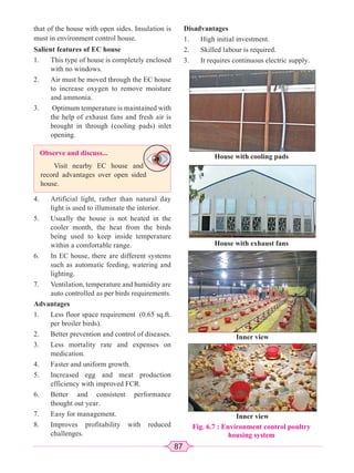 87
that of the house with open sides. Insulation is
must in environment control house.
Salient features of EC house
1. This type of house is completely enclosed
with no windows.
2. Air must be moved through the EC house
to increase oxygen to remove moisture
and ammonia.
3. Optimum temperature is maintained with
the help of exhaust fans and fresh air is
brought in through (cooling pads) inlet
opening.
Observe and discuss...
Visit nearby EC house and
record advantages over open sided
house.
4. Artificial light, rather than natural day
light is used to illuminate the interior.
5. Usually the house is not heated in the
cooler month, the heat from the birds
being used to keep inside temperature
within a comfortable range.
6. In EC house, there are different systems
such as automatic feeding, watering and
lighting.
7. Ventilation, temperature and humidity are
auto controlled as per birds requirements.
Advantages
1. Less floor space requirement (0.65 sq.ft.
per broiler birds).
2. Better prevention and control of diseases.
3. Less mortality rate and expenses on
medication.
4. Faster and uniform growth.
5. Increased egg and meat production
efficiency with improved FCR.
6. Better and consistent performance
thought out year.
7. Easy for management.
8. Improves profitability with reduced
challenges.
Disadvantages
1. High initial investment.
2. Skilled labour is required.
3. It requires continuous electric supply.
Fig. 6.7 : Environment control poultry
housing system
House with cooling pads
House with exhaust fans
Inner view
Inner view
 