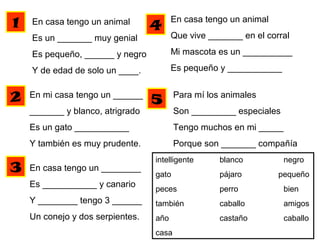 En casa tengo un animal
Es un _______ muy genial
Es pequeño, ______ y negro
Y de edad de solo un ____.
En mi casa tengo un ______
_______ y blanco, atrigrado
Es un gato ___________
Y también es muy prudente.
En casa tengo un ________
Es ___________ y canario
Y ________ tengo 3 ______
Un conejo y dos serpientes.
En casa tengo un animal
Que vive _______ en el corral
Mi mascota es un __________
Es pequeño y ___________
Para mí los animales
Son _________ especiales
Tengo muchos en mi _____
Porque son _______ compañía
1
2
3
4
5
intelligente blanco negro
gato pájaro pequeño
peces perro bien
también caballo amigos
año castaño caballo
casa
 